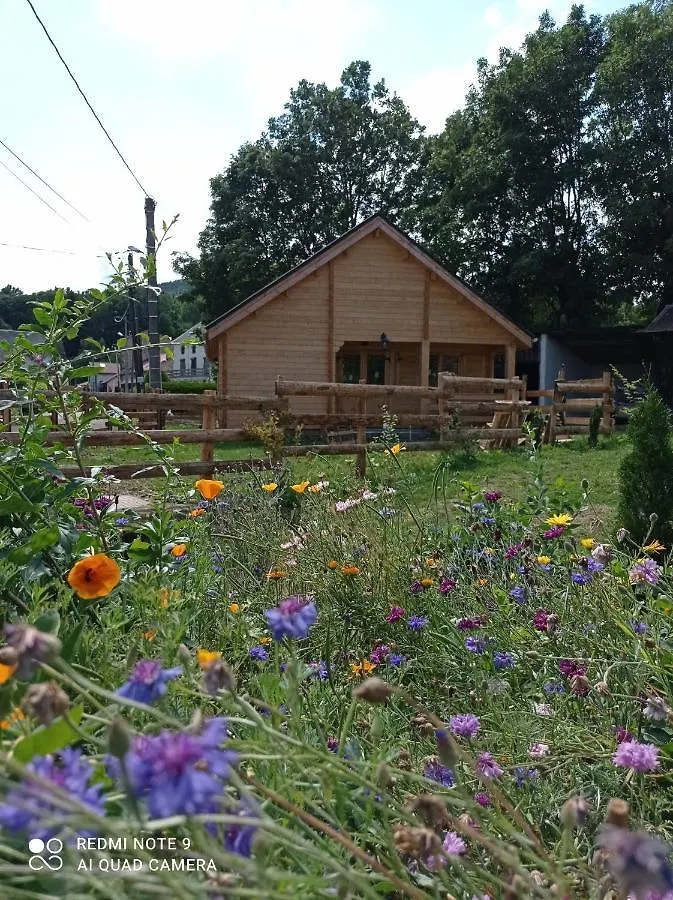 Chalet Des Fontaines Claires Aydat France
