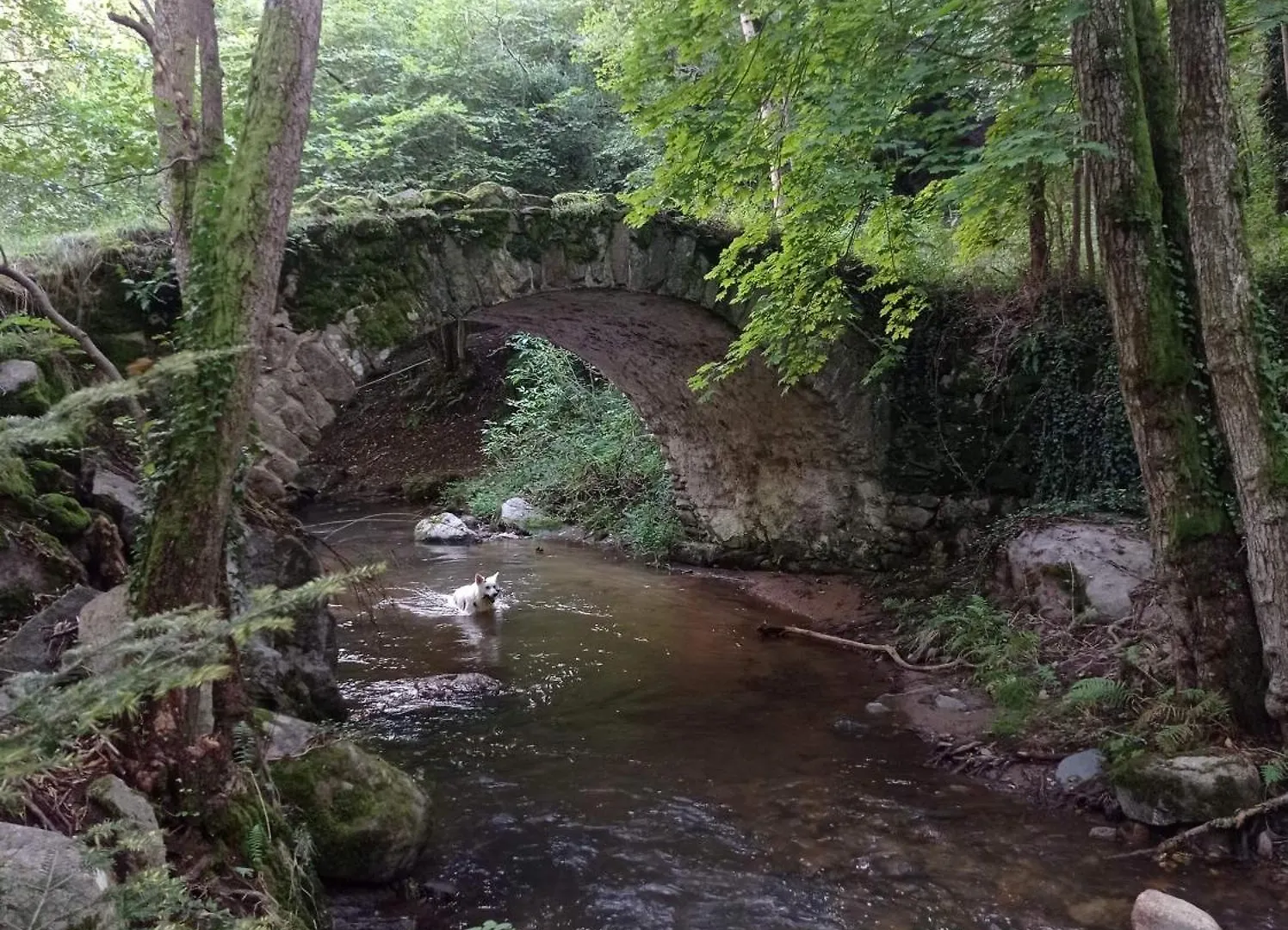 Chalet Des Fontaines Claires Aydat